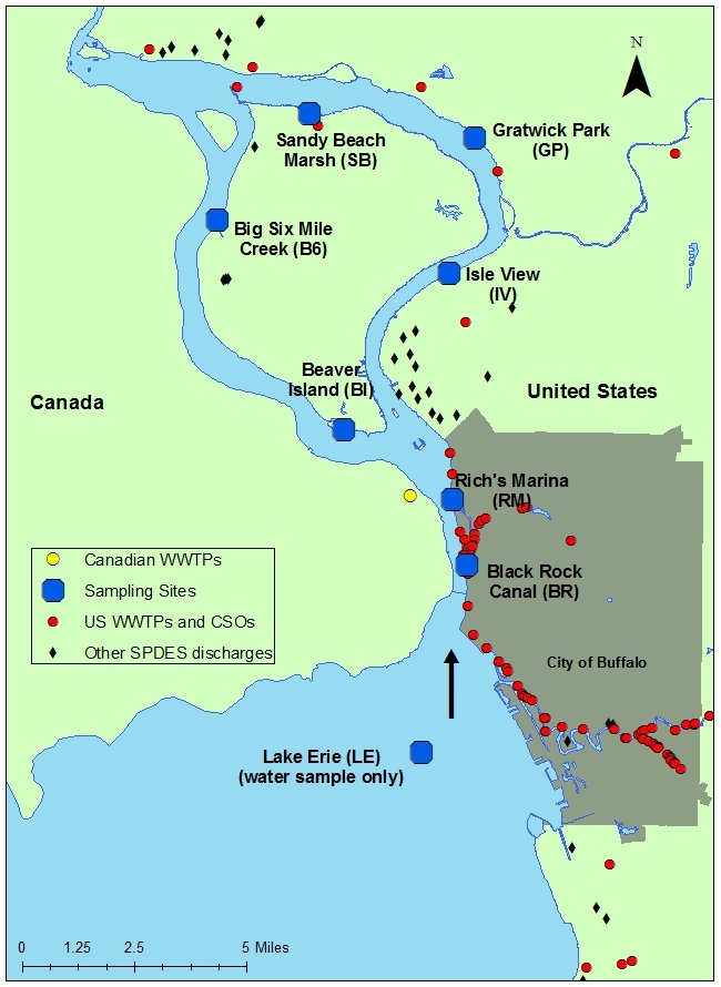 map of sampling sites on the Niagara River